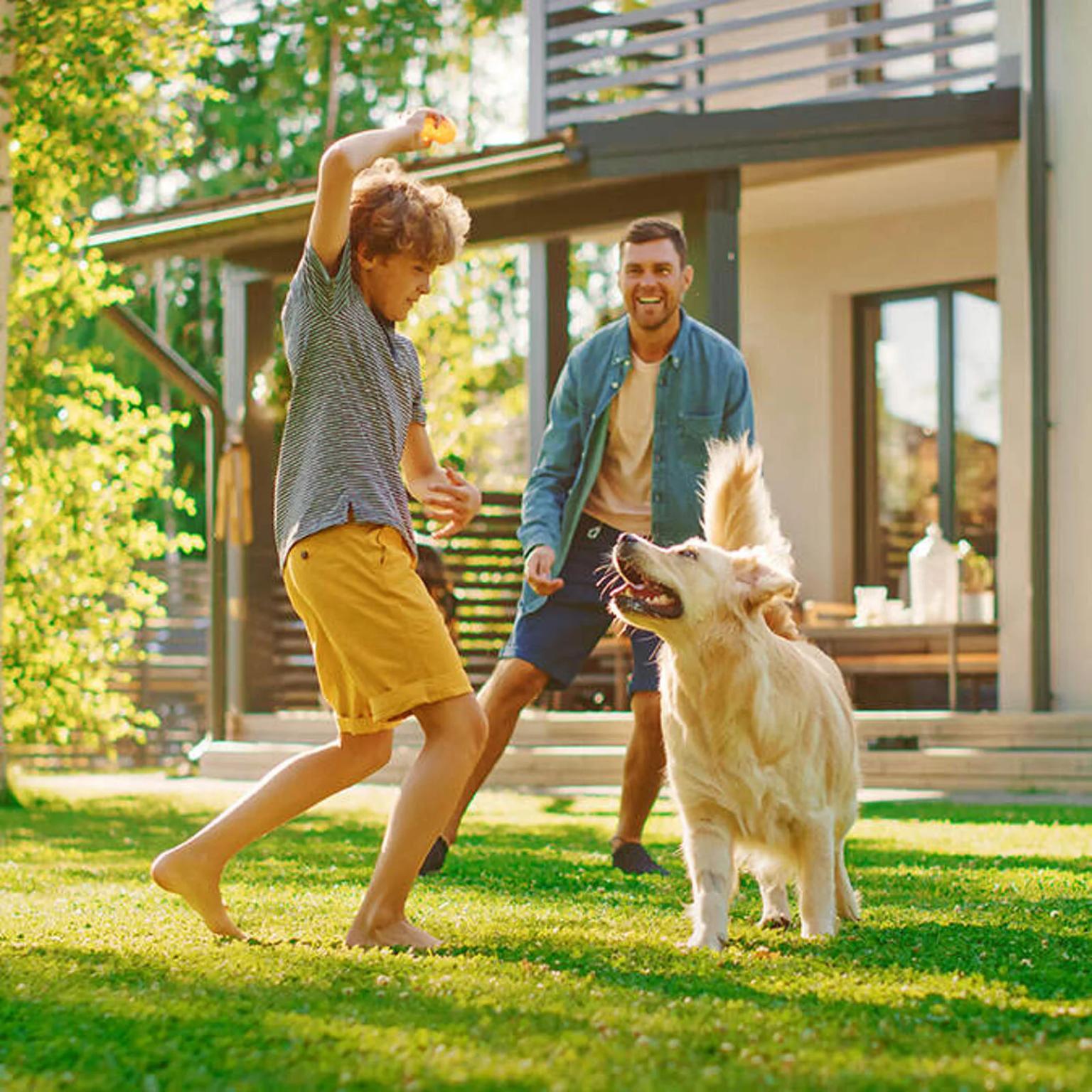 Vater, Sohn und Hund spielen mit einem Ball im Garten