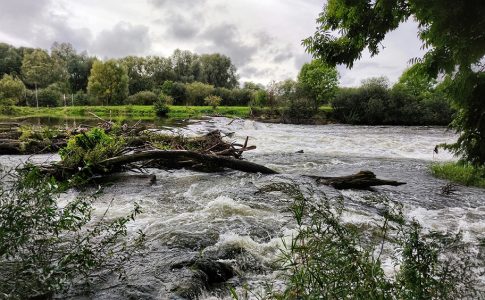 Wasserwirbel in einem Fluss, im Hintergrund grüne Landschaft